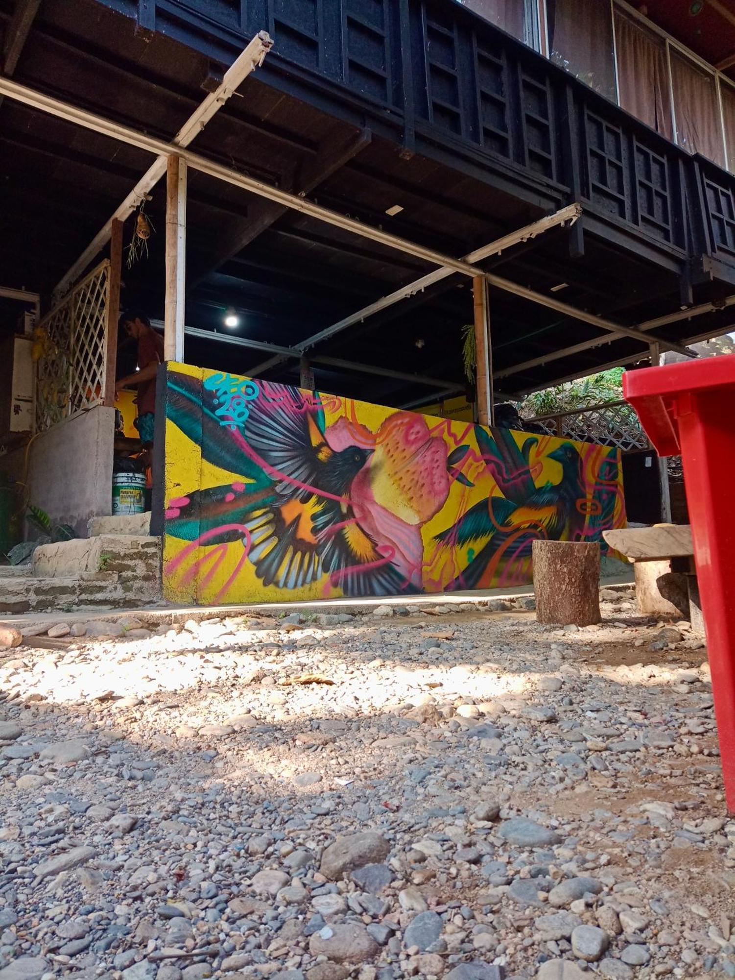 Hostal Las Mariposas Minca Esterno foto