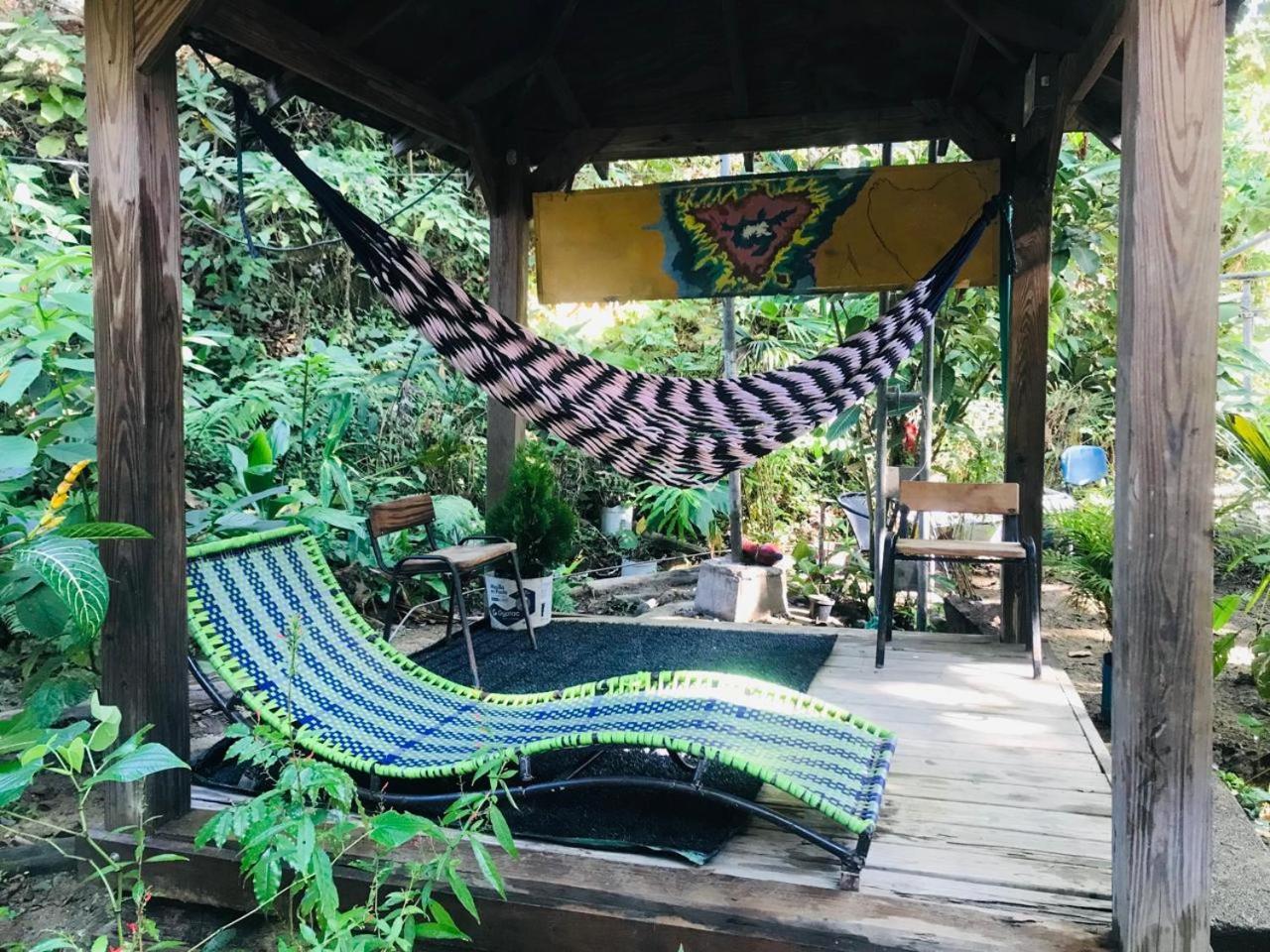Hostal Las Mariposas Minca Esterno foto