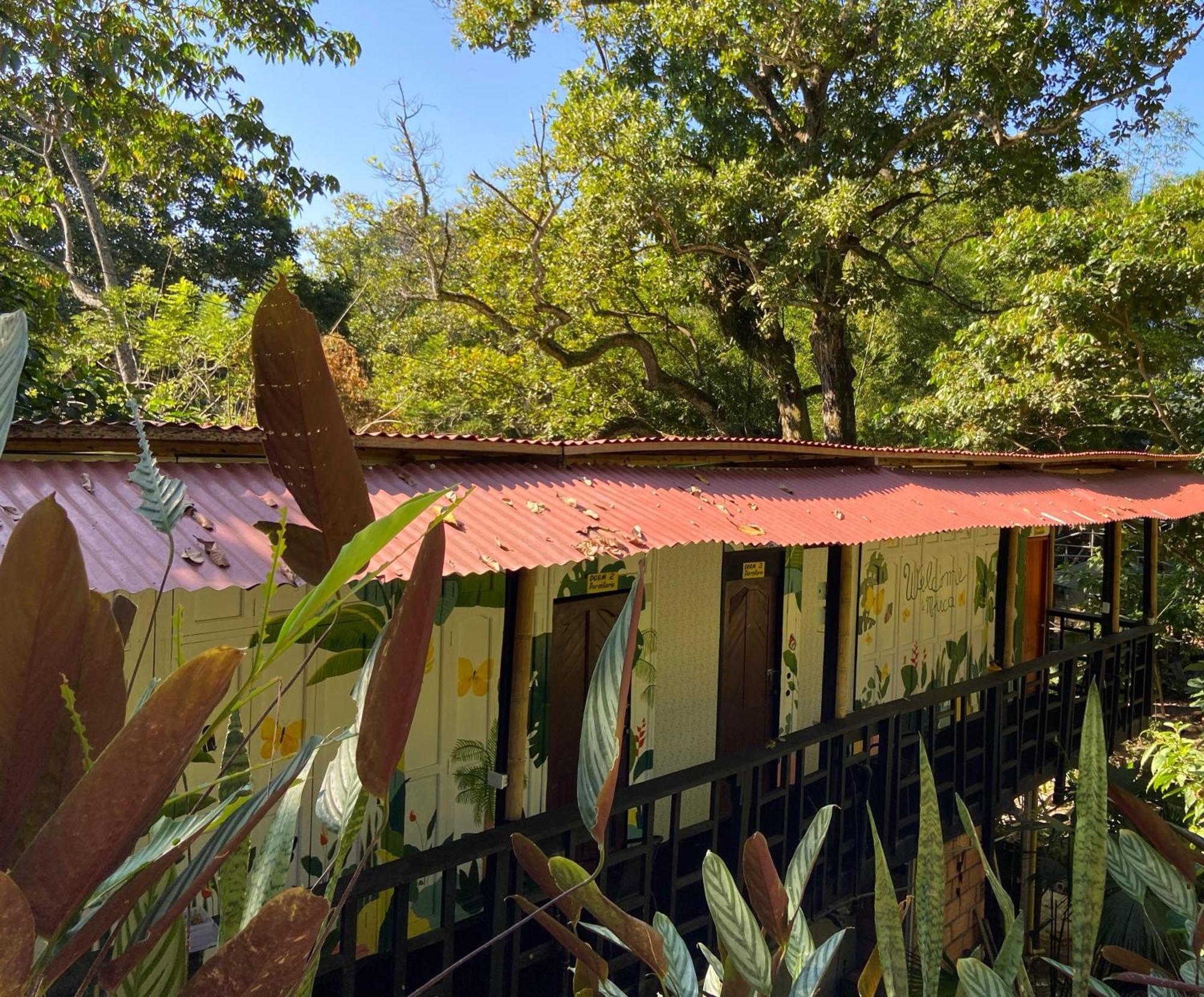 Hostal Las Mariposas Minca Esterno foto