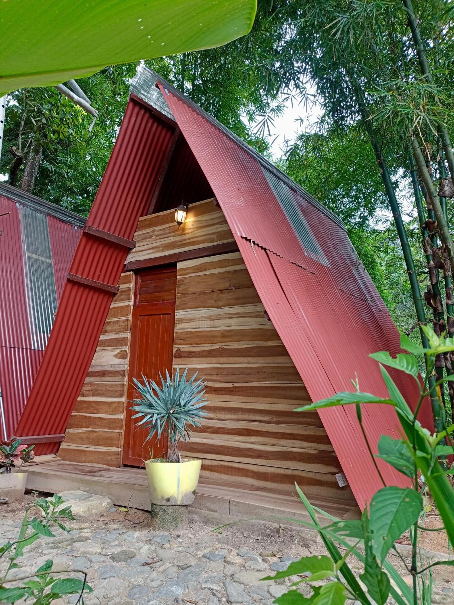 Hostal Las Mariposas Minca Esterno foto