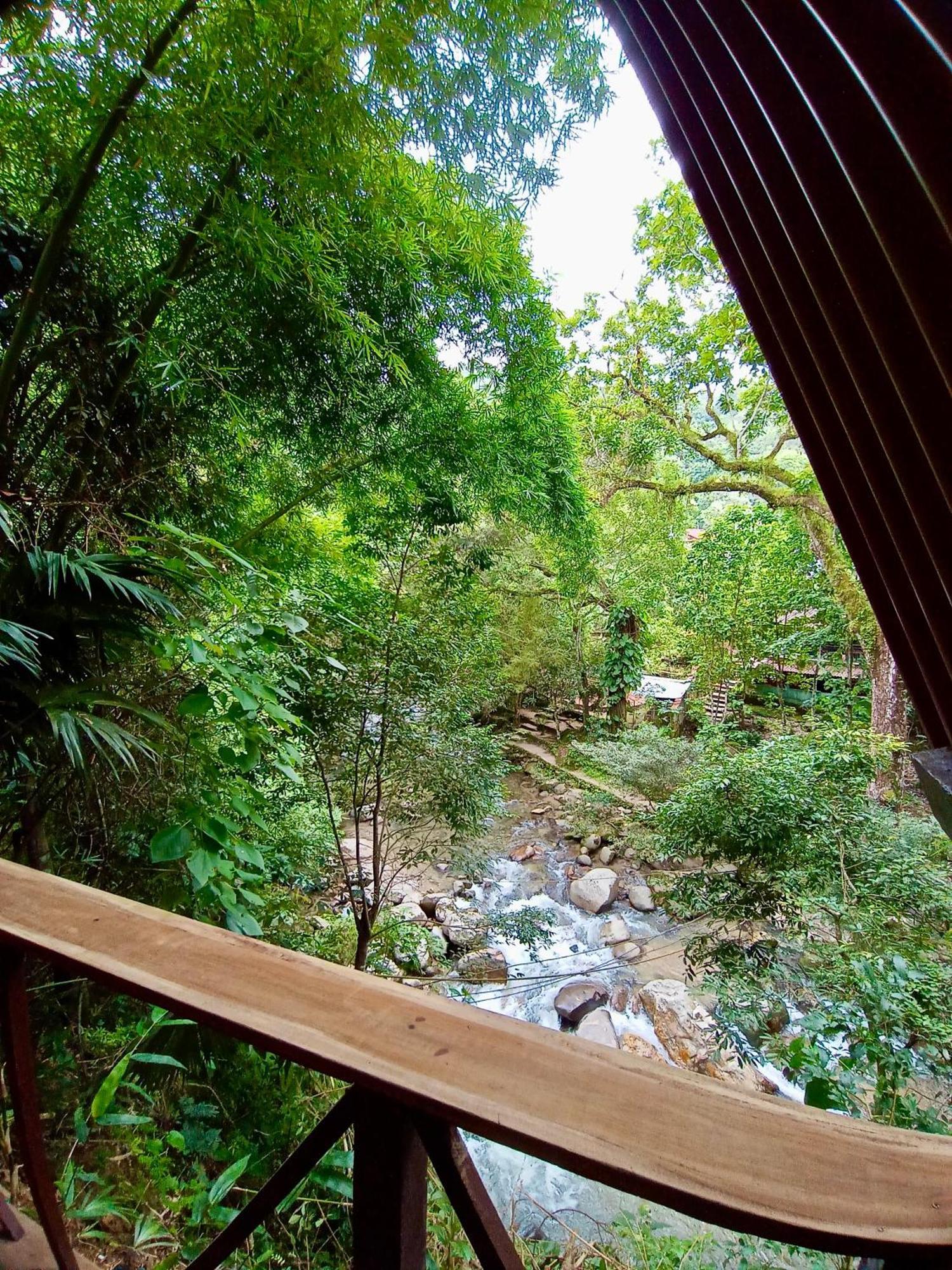 Hostal Las Mariposas Minca Esterno foto