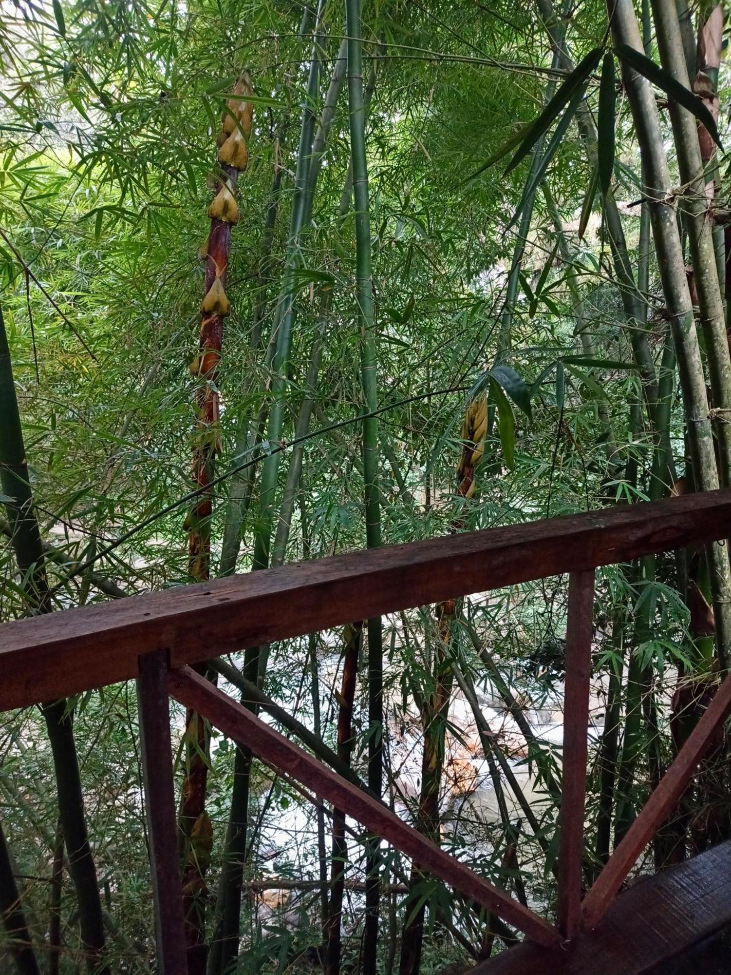 Hostal Las Mariposas Minca Esterno foto