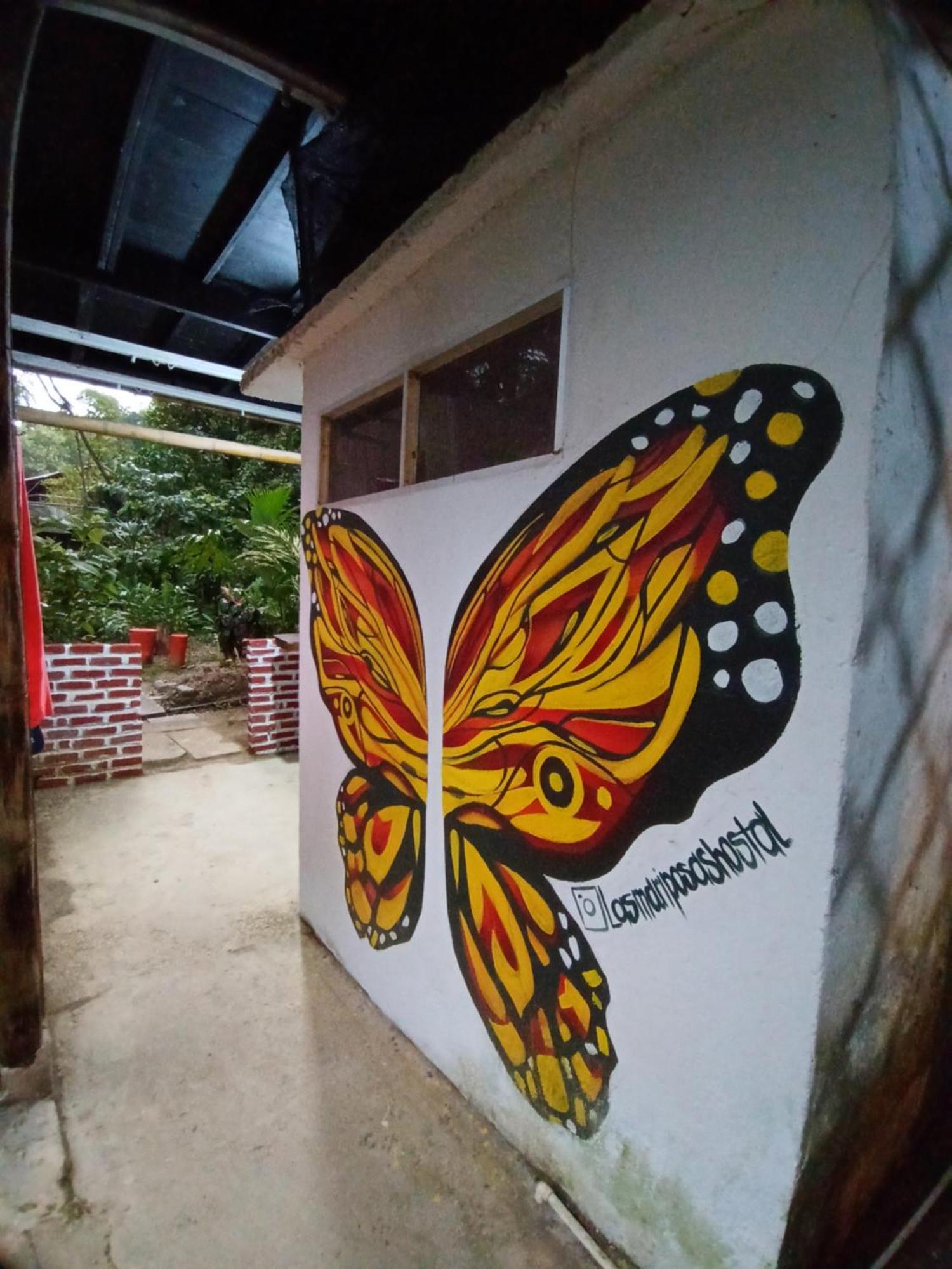 Hostal Las Mariposas Minca Esterno foto