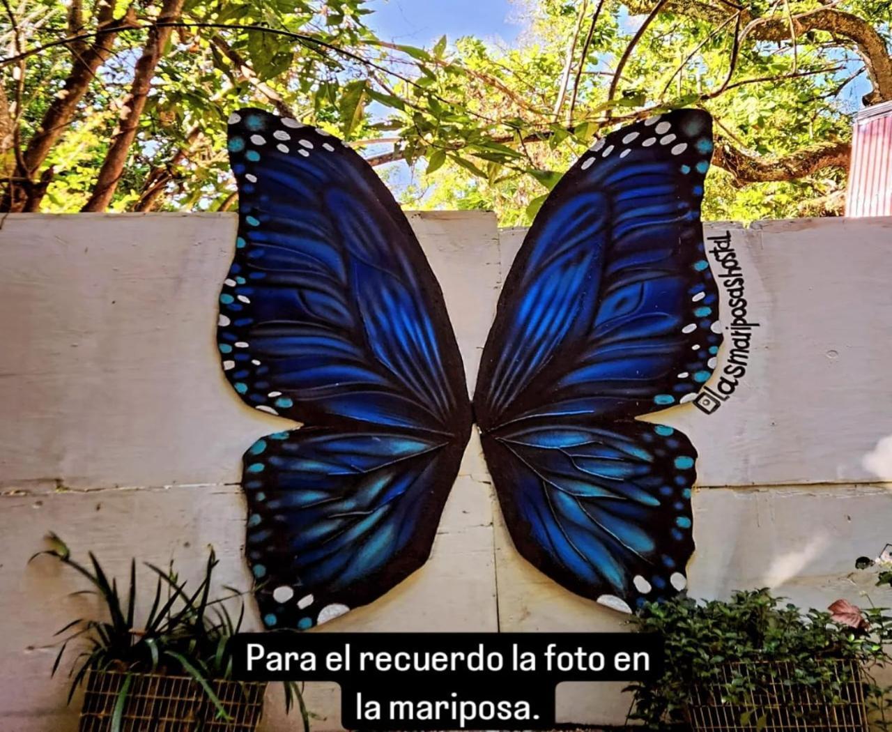 Hostal Las Mariposas Minca Esterno foto